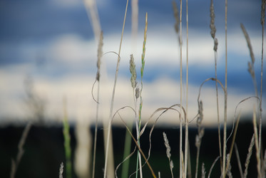 Similar image 21640868