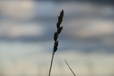 Similar image 21640869