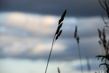 Similar image 21640873