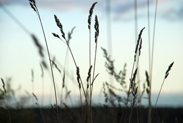 Similar image 21640875