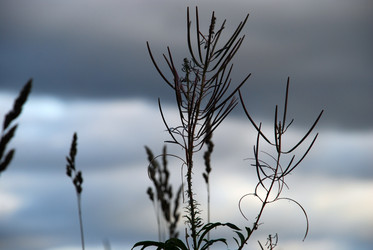 Similar image 21640876