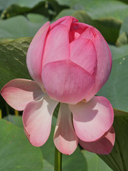 Similar image 21639961