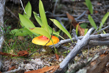 Similar image 21640878