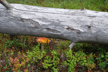 Similar image 21640880