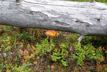 Similar image 21640882