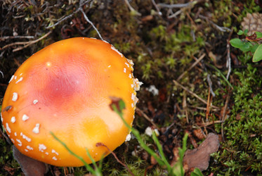 Similar image 21640884