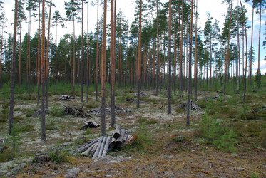 Similar image 21640886