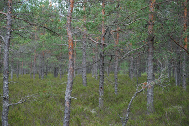 Similar image 21640889