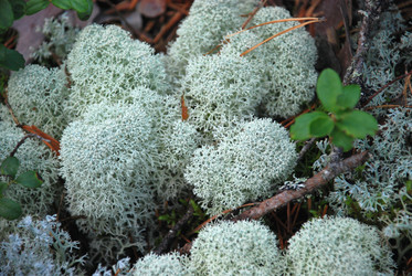 Similar image 21640897