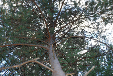 Similar image 21640899