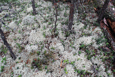 Similar image 21640902