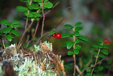 Similar image 21640903