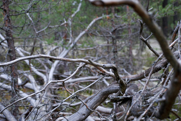 Similar image 21640904