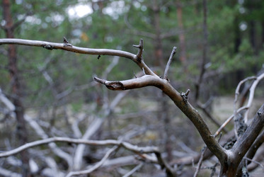 Similar image 21640906