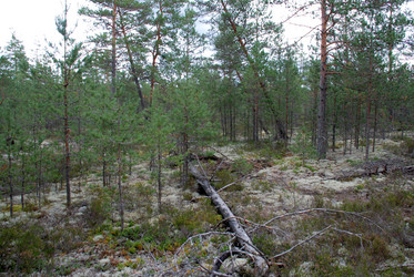 Similar image 21640908