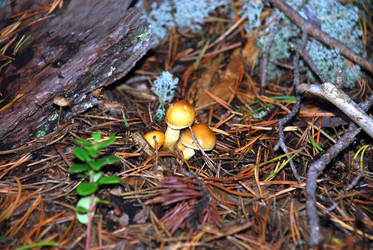 Similar image 21640911