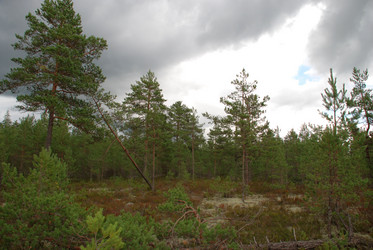 Similar image 21640914