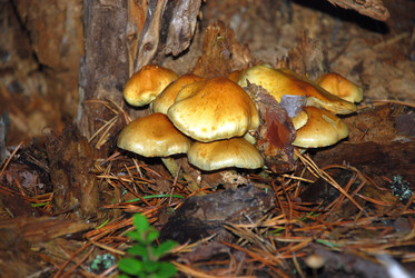 Similar image 21640915