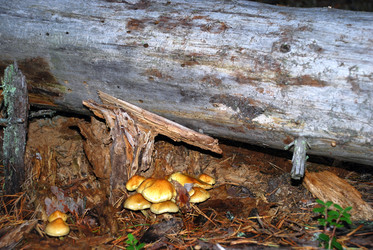 Similar image 21640917