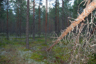 Similar image 21640923