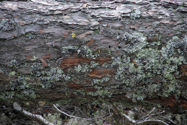 Similar image 21640926