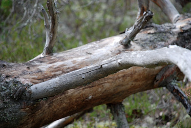 Similar image 21640928