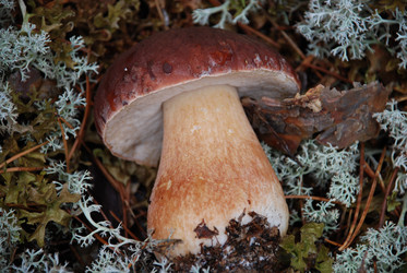 Similar image 21640931