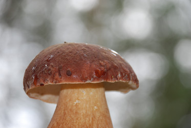 Similar image 21640933