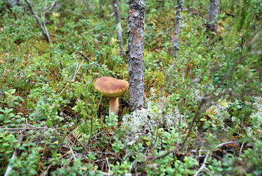 Similar image 21640934