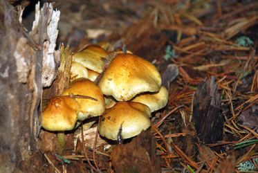 Similar image 21640935