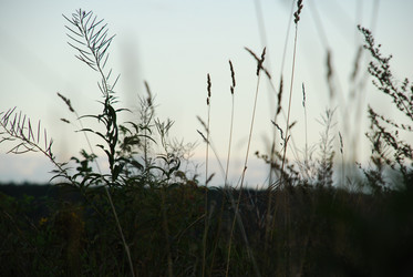 Similar image 21640937