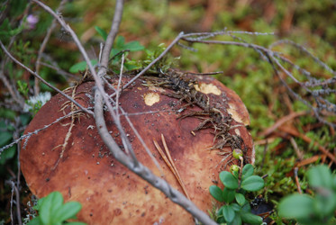 Similar image 21640944