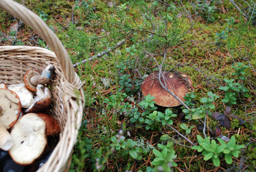 Similar image 21640948