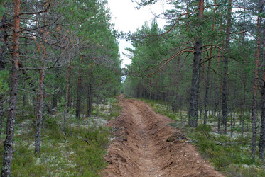 Similar image 21641319