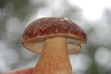 Similar image 21641321