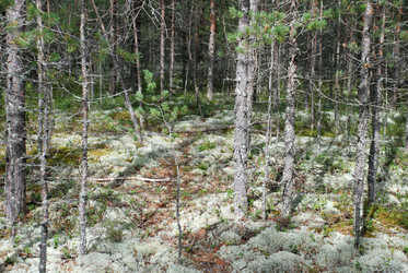 Similar image 21641323