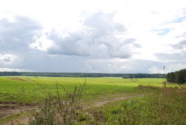 Similar image 21641324