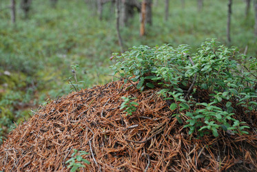 Similar image 21641325