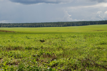 Similar image 21641326