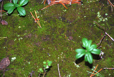 Similar image 21641327