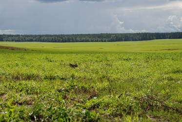 Similar image 21641328