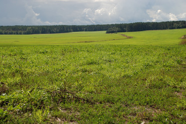 Similar image 21641330