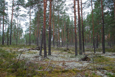 Similar image 21641331