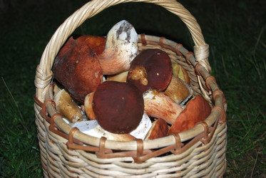 Similar image 21641338