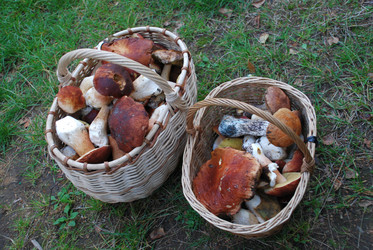 Similar image 21641339