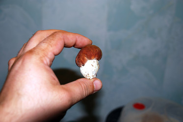 Similar image 21641340