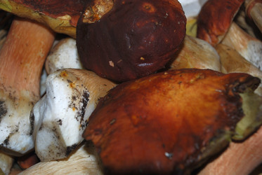 Similar image 21641341