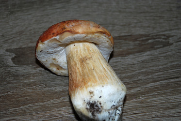 Similar image 21641342