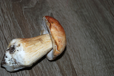 Similar image 21641343