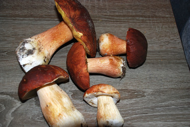 Similar image 21641345